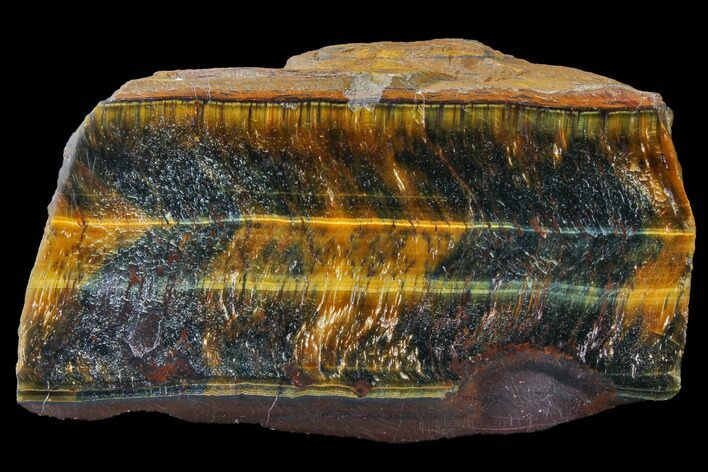 Polished Tiger's Eye Section - South Africa #128455